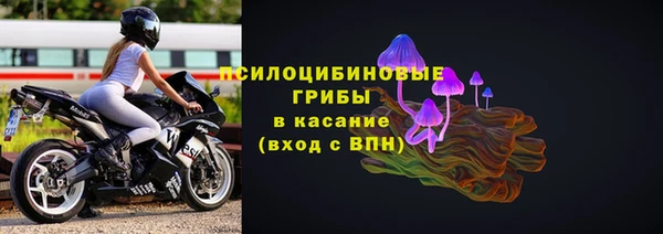 мяу мяу мука Алексин