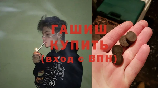 шишки Гусиноозёрск