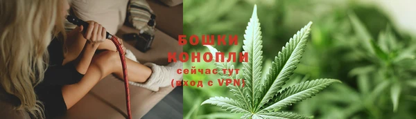 гидра Инта