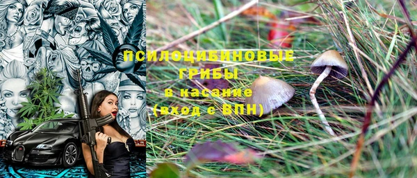 PSILOCYBIN Абдулино