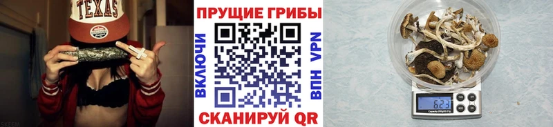 Галлюциногенные грибы MAGIC MUSHROOMS  что такое   Димитровград 
