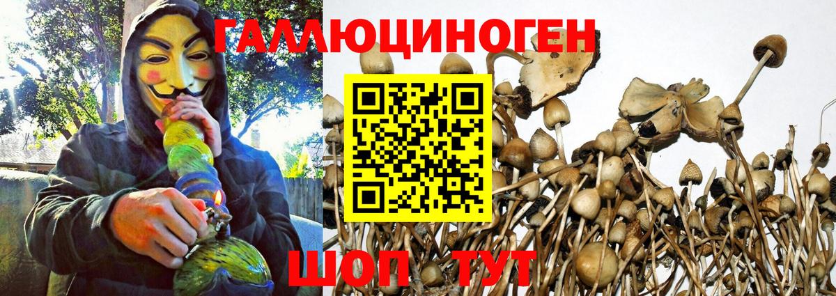 Димитровград  Псилоцибиновые грибы мухоморы  Галлюциногенные грибы мухоморы  Вход с VPN 