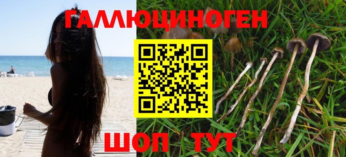 Псилоцибиновые грибы мухоморы Димитровград